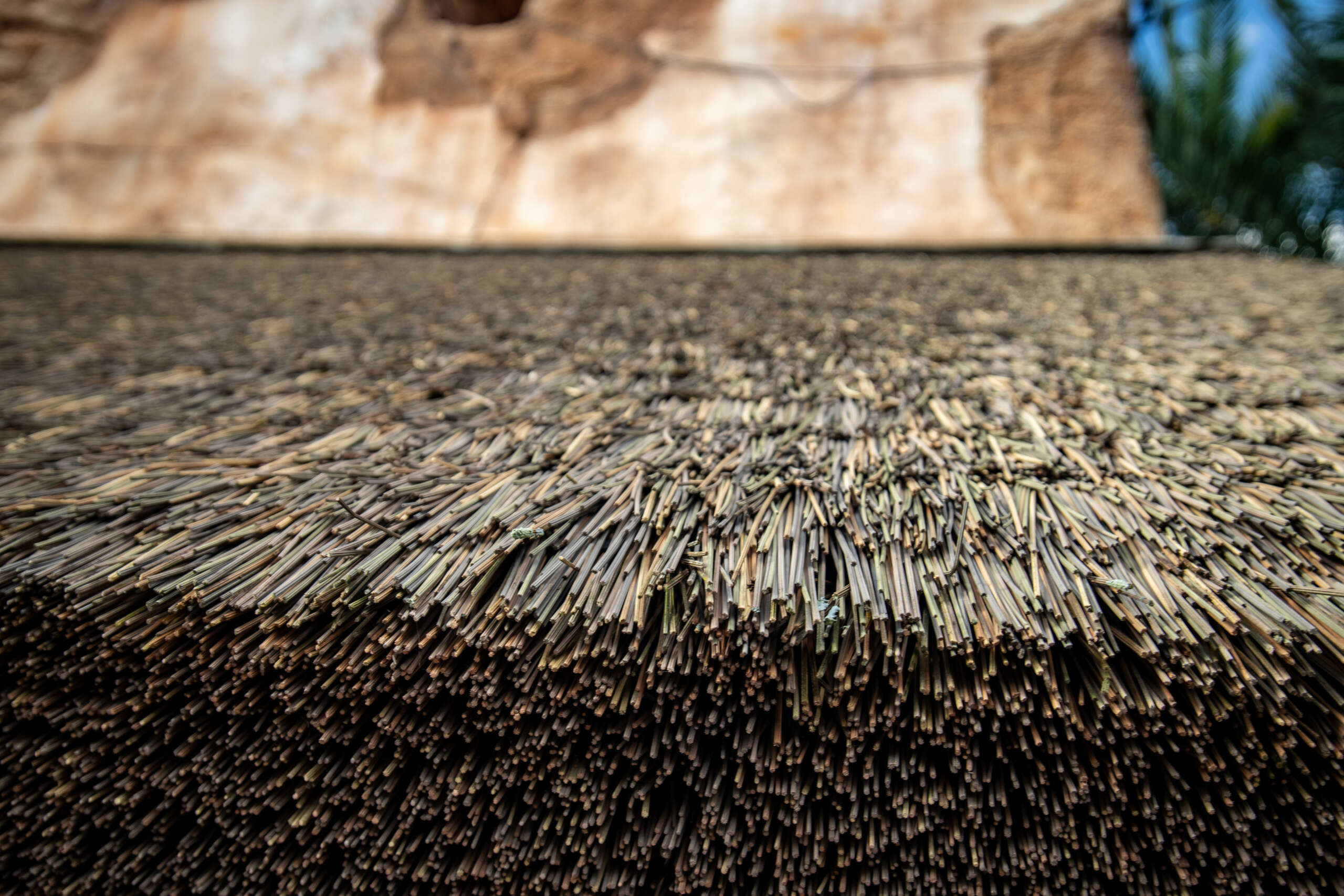 Synthetic Reed | The Supply Scouts in Lakeland, Florida