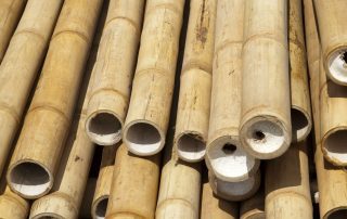 Bamboo | The Supply Scout