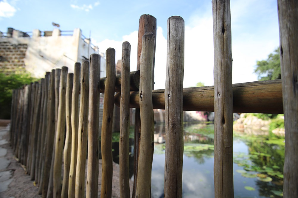 Eucalyptus Fencing at Theme Park | The Supply Scout