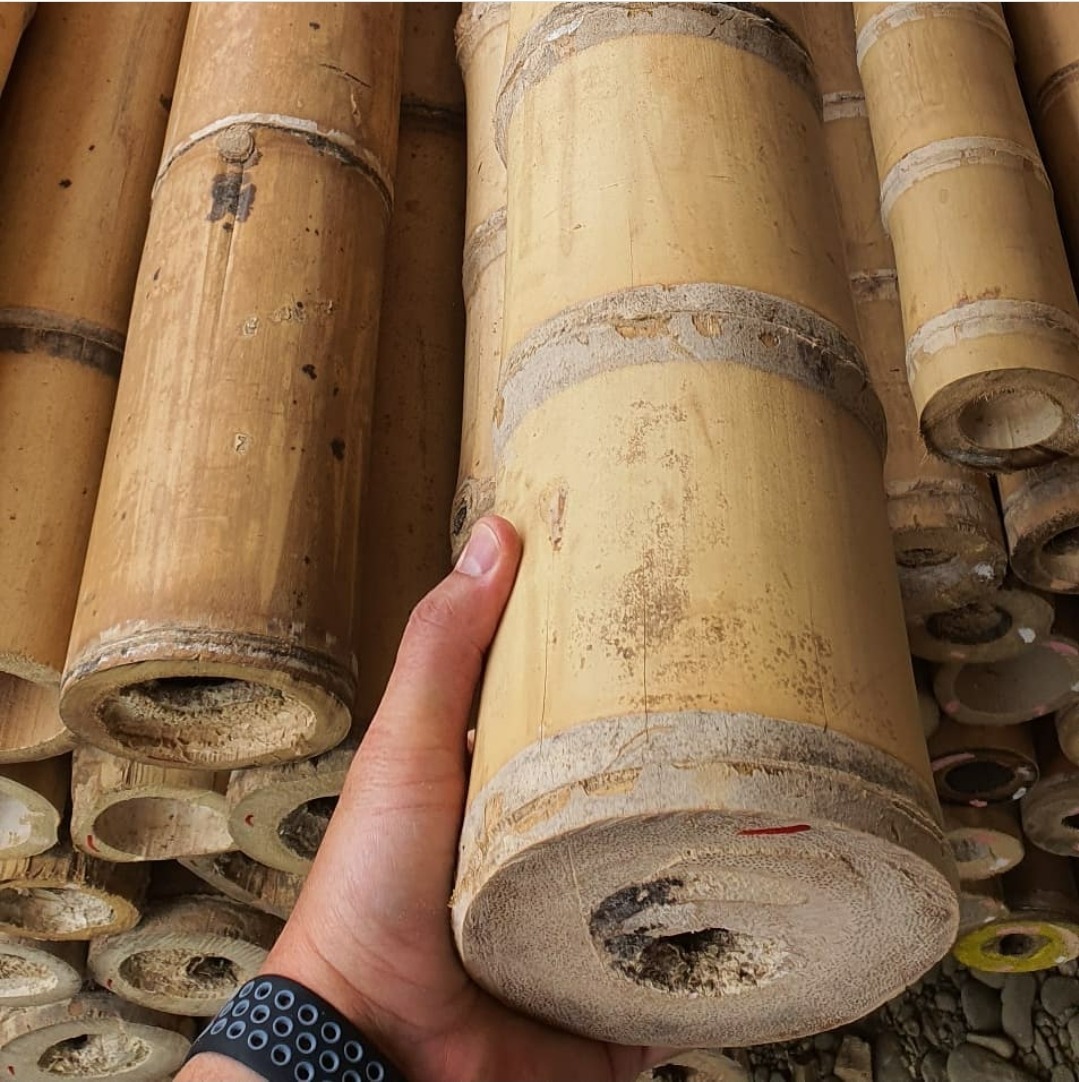 Bamboo Poles For Sale Building Supplies The Supply Scout