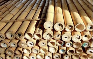Bamboo Poles for Sale by The Supply Scout