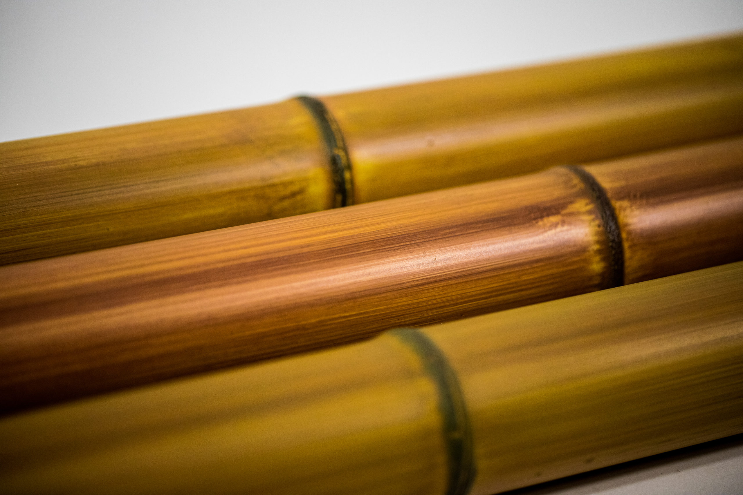 Synthetic Bamboo for Sale | The Supply Scout