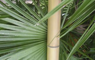 Handcrafted PVC Bamboo Poles | The Supply Scout